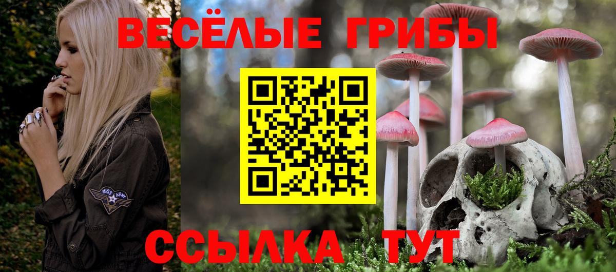 Галлюциногенные грибы Magic Shrooms Прохладный