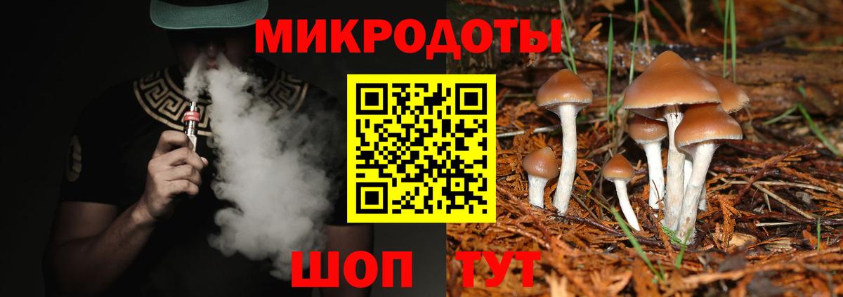 Псилоцибиновые грибы Magic Shrooms  Вход с VPN  Прохладный  Галлюциногенные грибы GOLDEN TEACHER 
